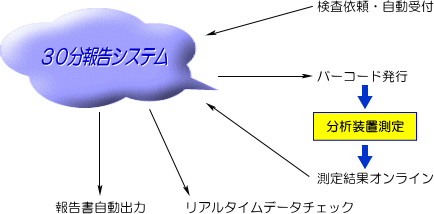 30分報告システム